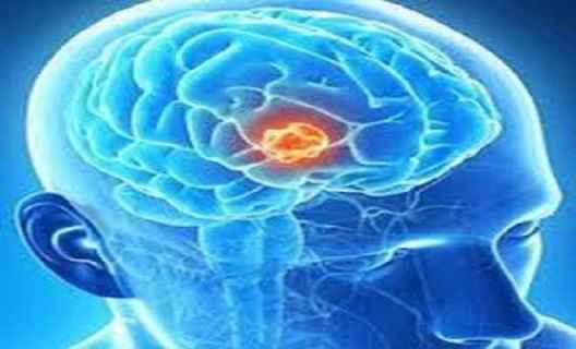 वैज्ञानिकों ने दिमाग में आवाज पहचानने वाले हिस्से की खोज की